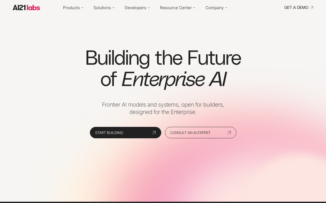 AI21 Labs screenshot 1