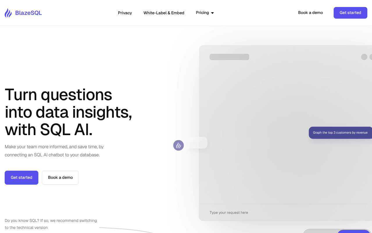 BlazeSQL screenshot 1