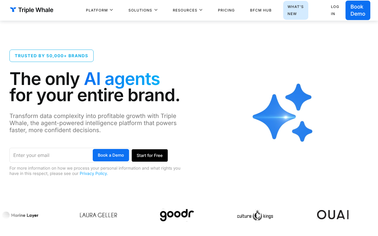 Triple Whale screenshot 1